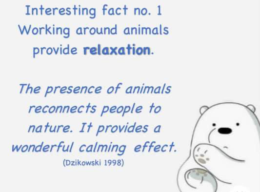 interesting fact new